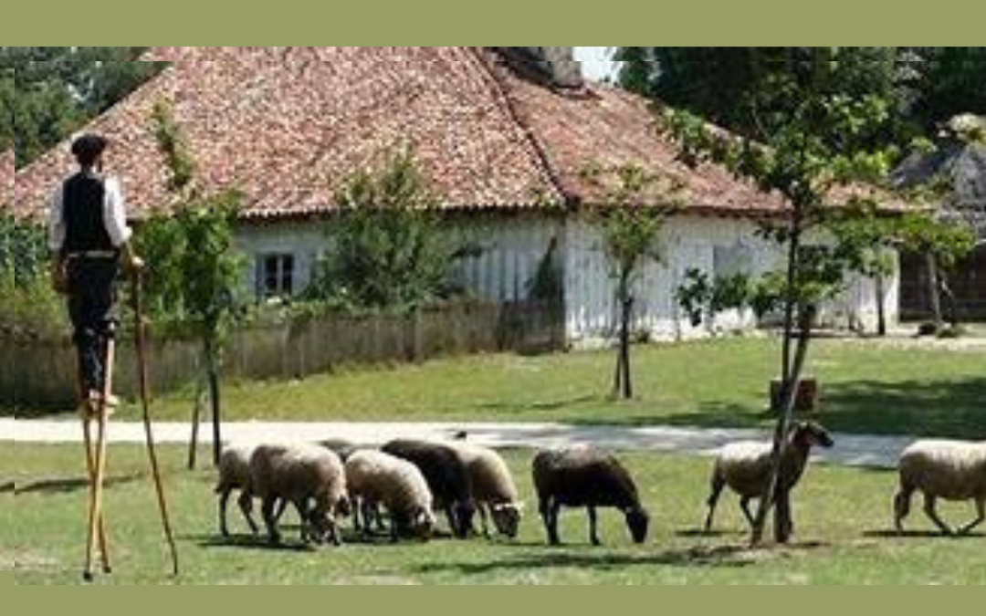 Ecomusée Des Landes Sabres Landes Ecomusée De Marquèze