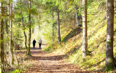 Les Loisirs Autour Du Château Chillac