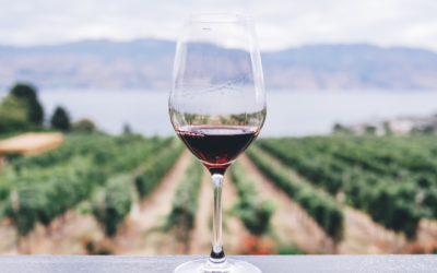 Les Vignobles Bordelais