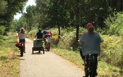 Location De Vélos Bazas Les Cycles Du Bazadais