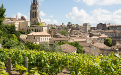 Visiter Le Vignoble De Saint-Emilion